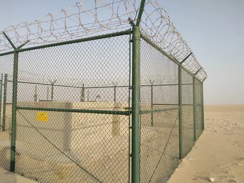 شبوك الرياض 